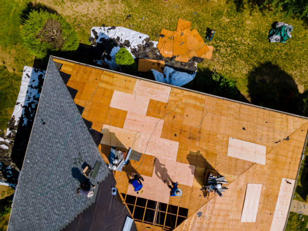 Best Roof Repair Services  in Shady Spring, WV