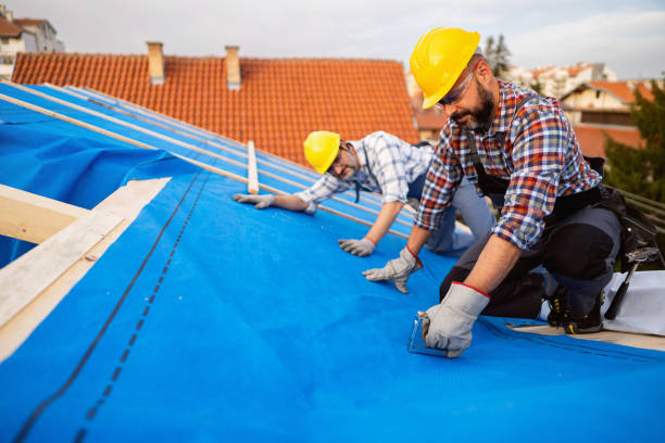 Best Roof Leak Repair  in Shady Spring, WV