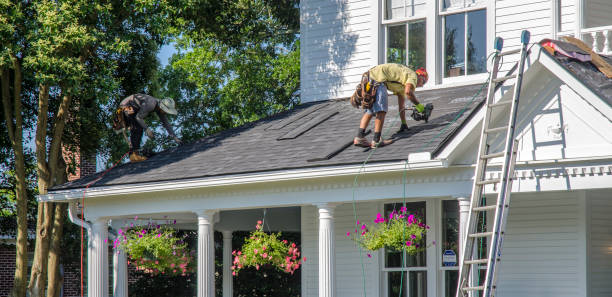 Best Local Roofing Companies  in Shady Spring, WV
