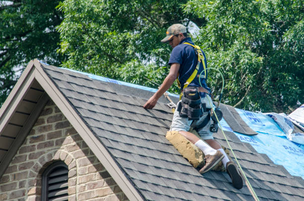 Best Roof Repair Services  in Shady Spring, WV